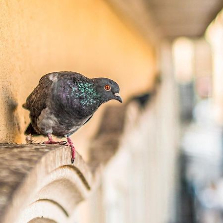 Locally Yours Sao Bento Apartments ポルト エクステリア 写真