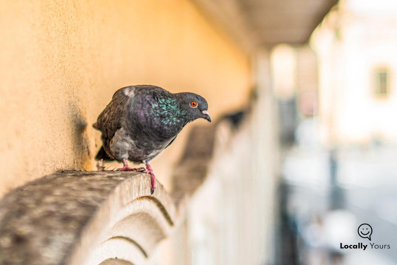 Locally Yours Sao Bento Apartments ポルト エクステリア 写真